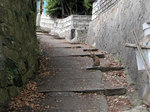 DSCN4699.jpg