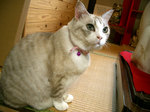IMGP4078.jpg